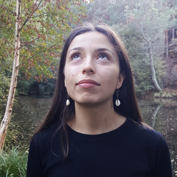 Pendientes de conchas cowrie