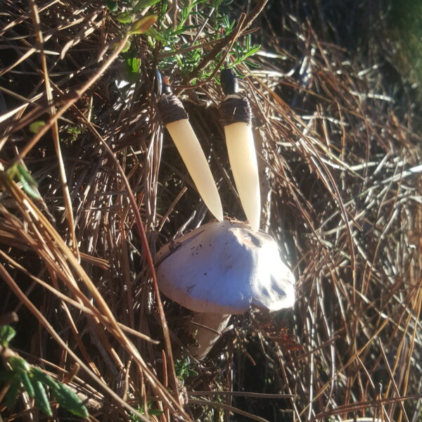 Pendientes colmillo de hueso