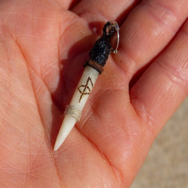 Pendiente colmillo de la salud