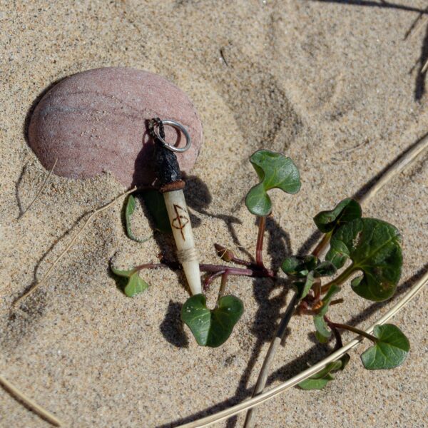 Pendiente colmillo de la salud